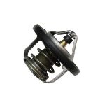 Termostato Nissan Versa 2011-2023