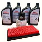 Cambio de Aceite 10W30 Nissan March 2012-2024 Original