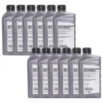 Anticongelante Original Nissan 12pzs